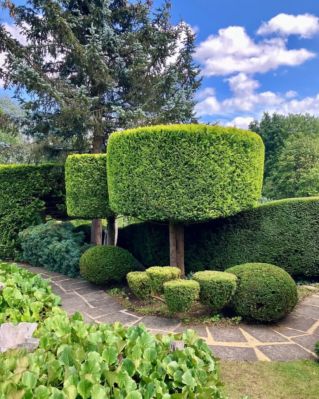Layered conifer and yew topiary forms shaped with a Japanese-influenced Niwaki feel